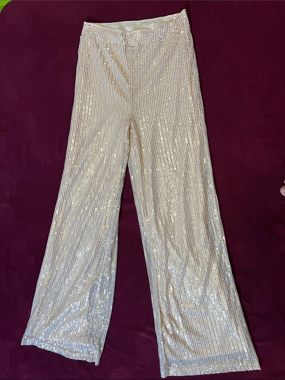 Sequin Wide-Leg Pants in Champagne